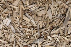 biomass boilers Bancffosfelen